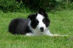 Jimmy 3-7-2012.jpg